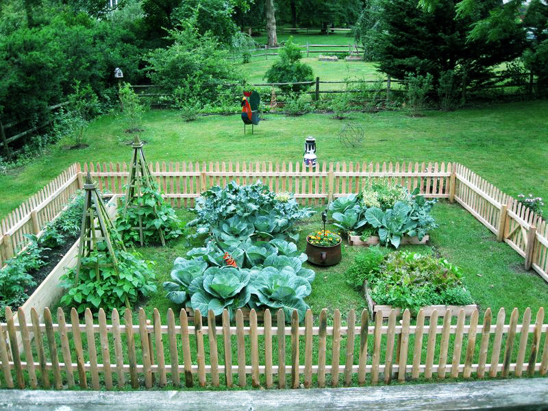 Diy vegetable garden backyard